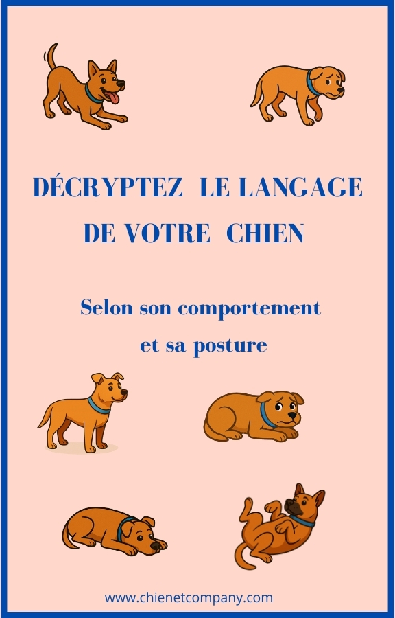 Couverture ebook tableau du langage du chien en image PDF pour comprendre ses postures et comportements

Guide visuel en PDF sur le langage corporel du chien avec tableau et images